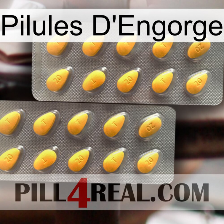 Engorge Pills cialis2